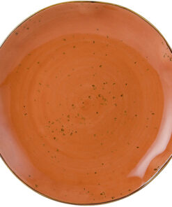 Tuxton GGC-006 TuxTrendz Artisan Geode Coral 10 1/4 pg China Plate - 12/caja